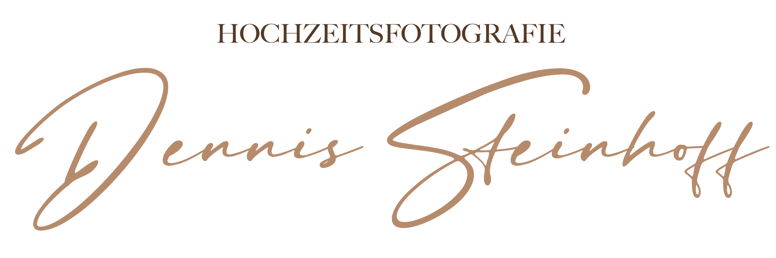 Logo vom Hochzeitsfotografen Dennis Steinhoff